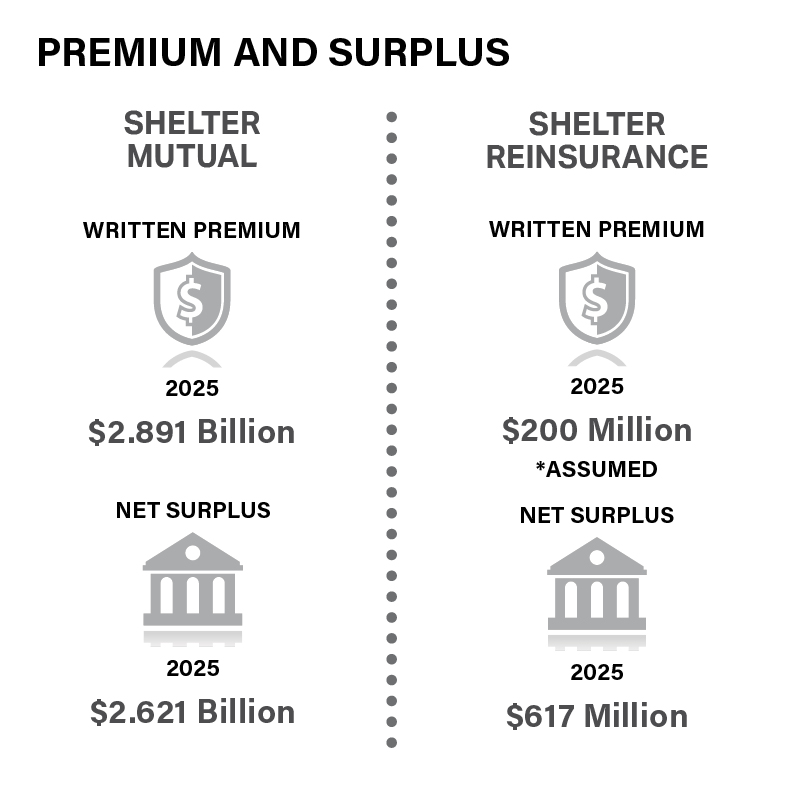 Infographic representing ShelterRe Premiums and Surplus